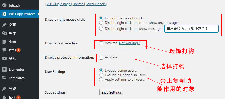 wp copy protect设置