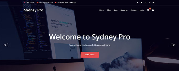 轻量化建站主题Sydney pro