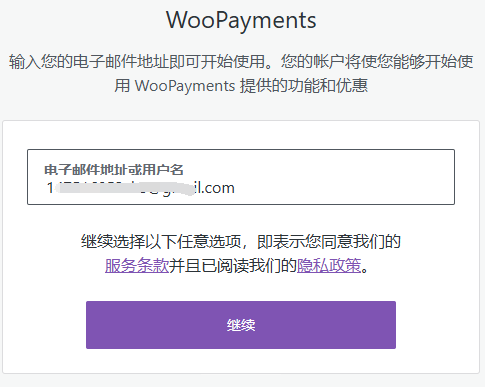 设置woopayment